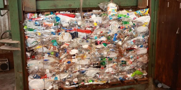 plastic bottle recycling